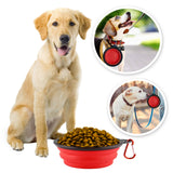 Republican Dogs Collapsible Dog Bowl