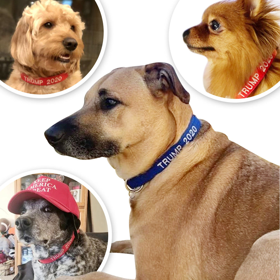 Trump 2020 Dog Collars