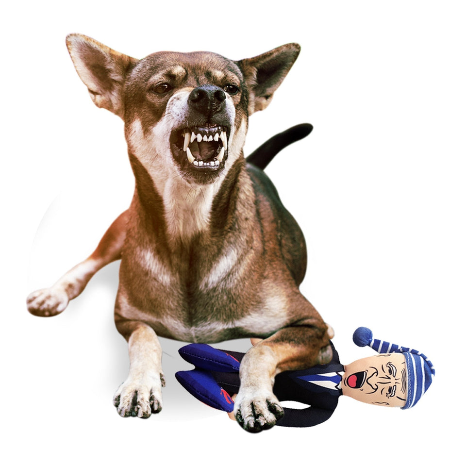 Sleepy Joe Biden Chew Toy Doll + Free Arizona For Trump Dog Bandana