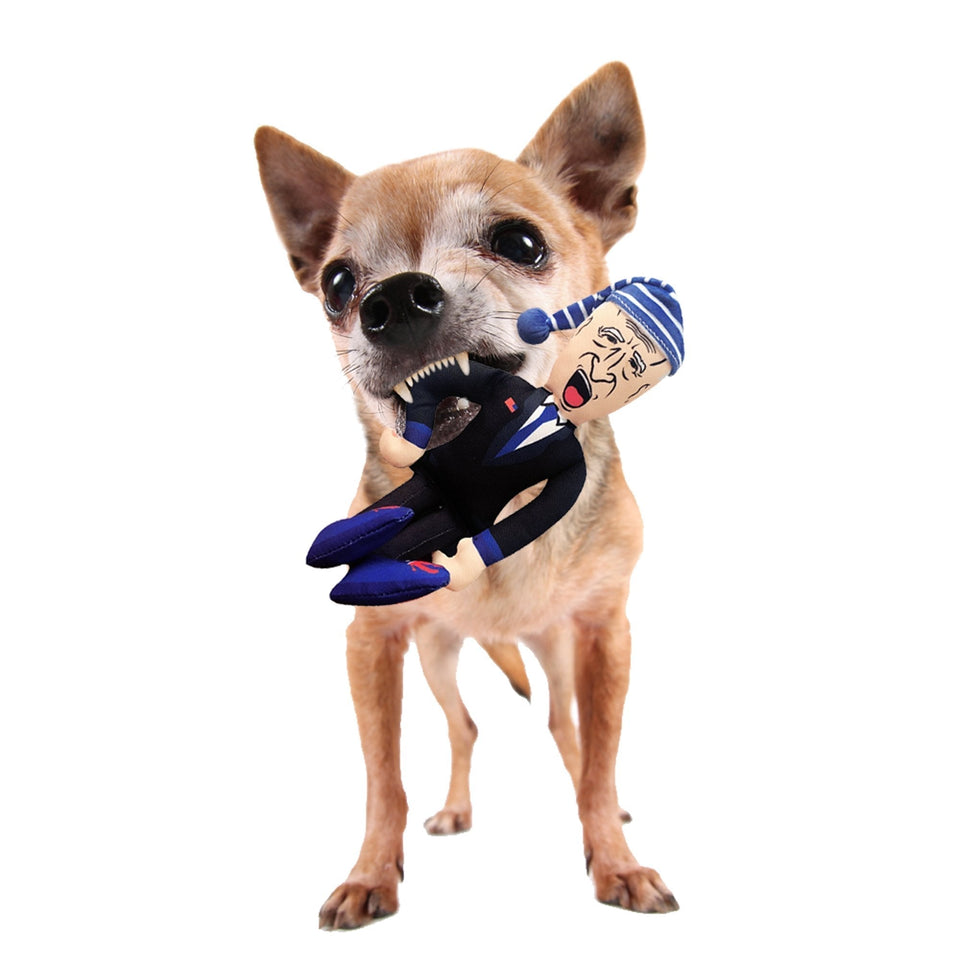 Sleepy Joe Biden Chew Toy Doll + Free Arizona For Trump Dog Bandana