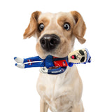 Let's Go Brandon Sleepy Joe Biden Tough Plush Dog Chew Toy with Squeaker - Official Republican Dogs